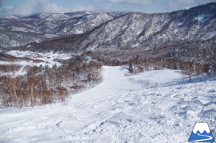 札幌国際スキー場 Welcome back POWDER SNOW !! ～パウダースノー復活～